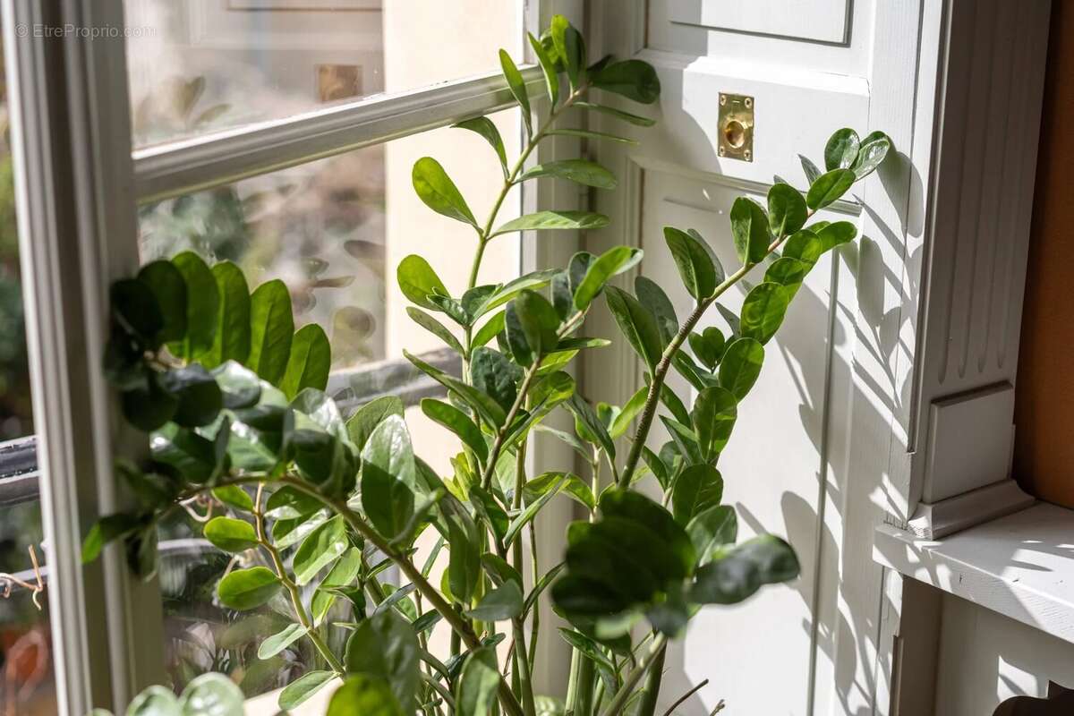 Appartement à PARIS-5E