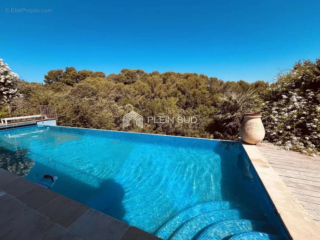 Antibes superbe maison, havre de paix ! - photo 5