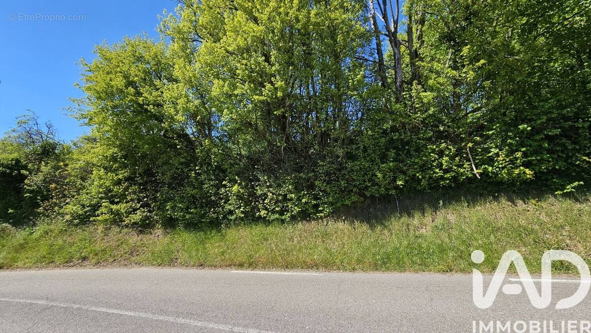 Photo 1 - Terrain à LUDRES