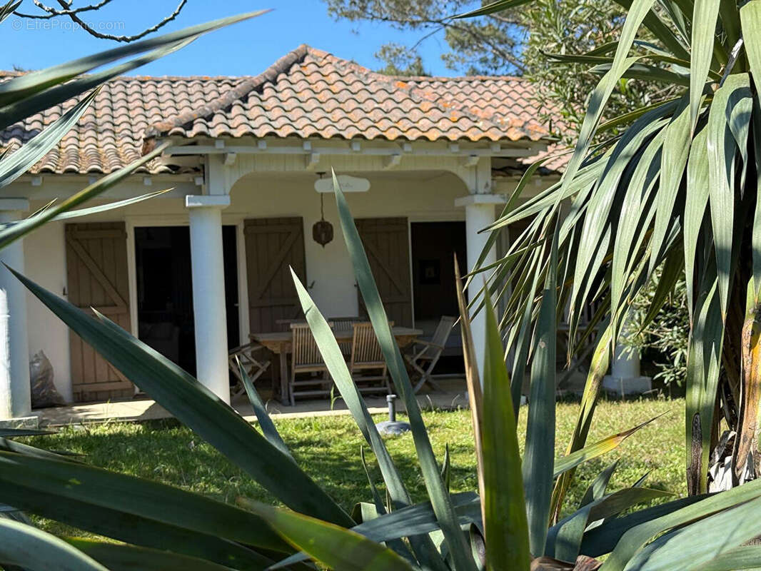 Maison à LEGE-CAP-FERRET
