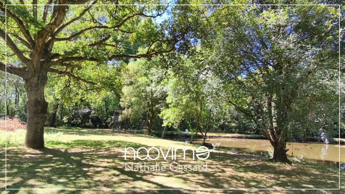 Domaine de caractère avec gîte indépendant, piscine et parc - photo 7