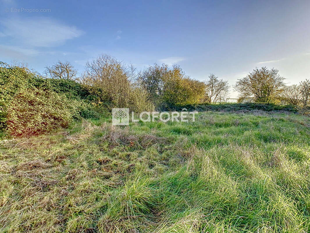 Maison à ELISE-DAUCOURT