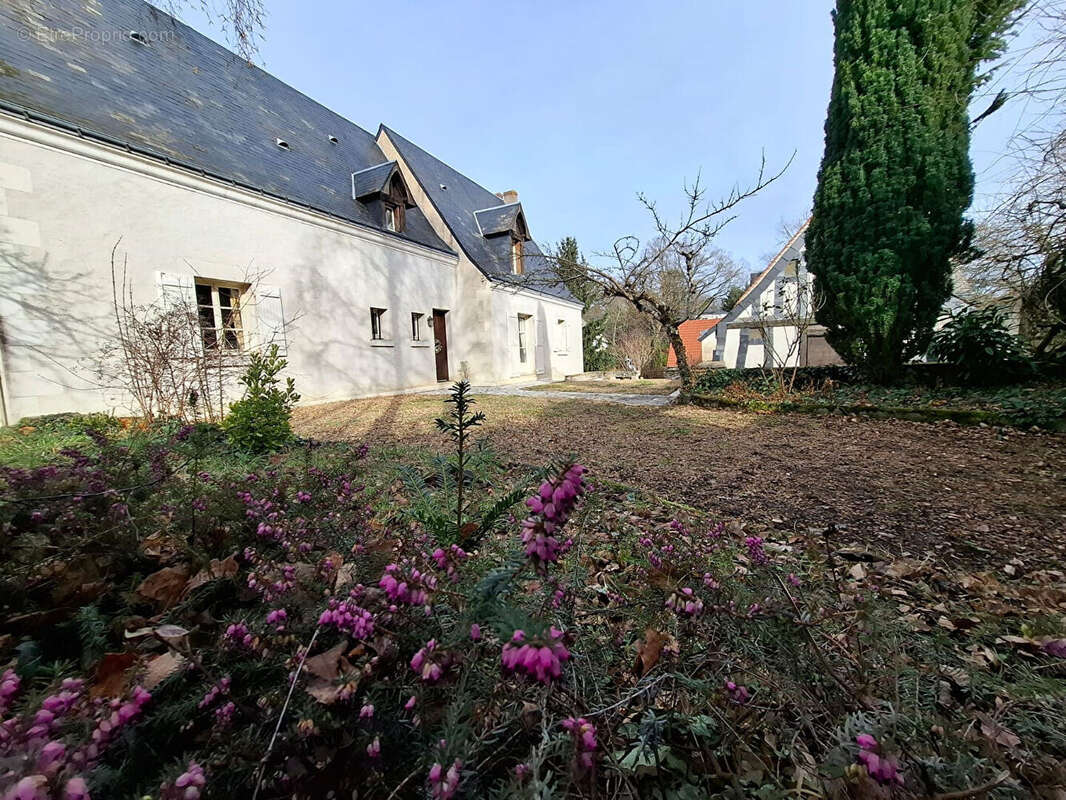 Maison à JOUE-LES-TOURS