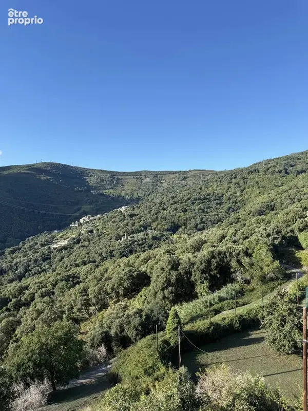 Appartement village de BORGO - photo 1