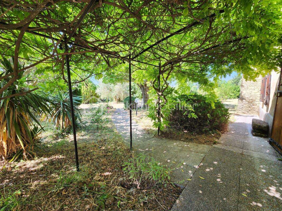 Mas Authentique au Cœur du Luberon sur plus de 2,7 hectares - photo 8