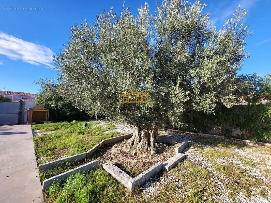 Maison à VIC-LA-GARDIOLE