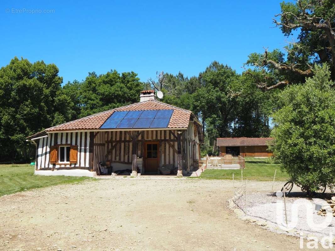 Photo 3 - Maison à LUXEY