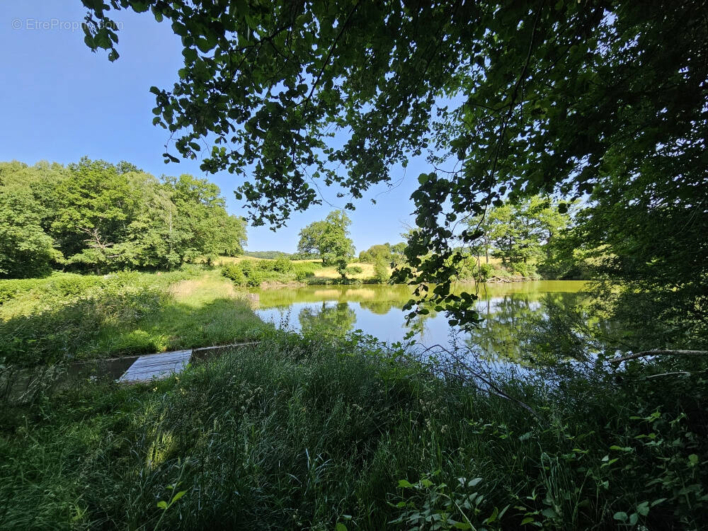 Autre à SAINT-PRIEST-LA-FEUILLE
