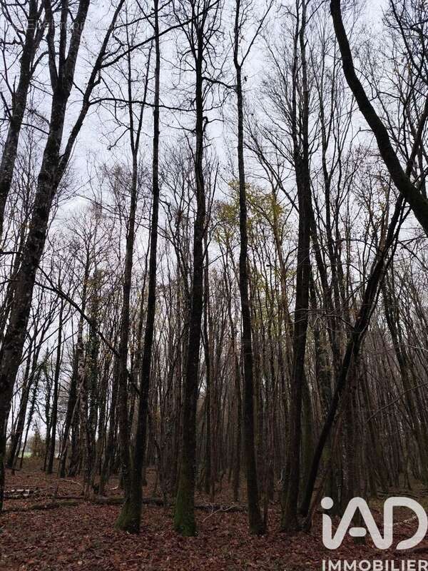 Photo 7 - Terrain à LA CHAPELOTTE