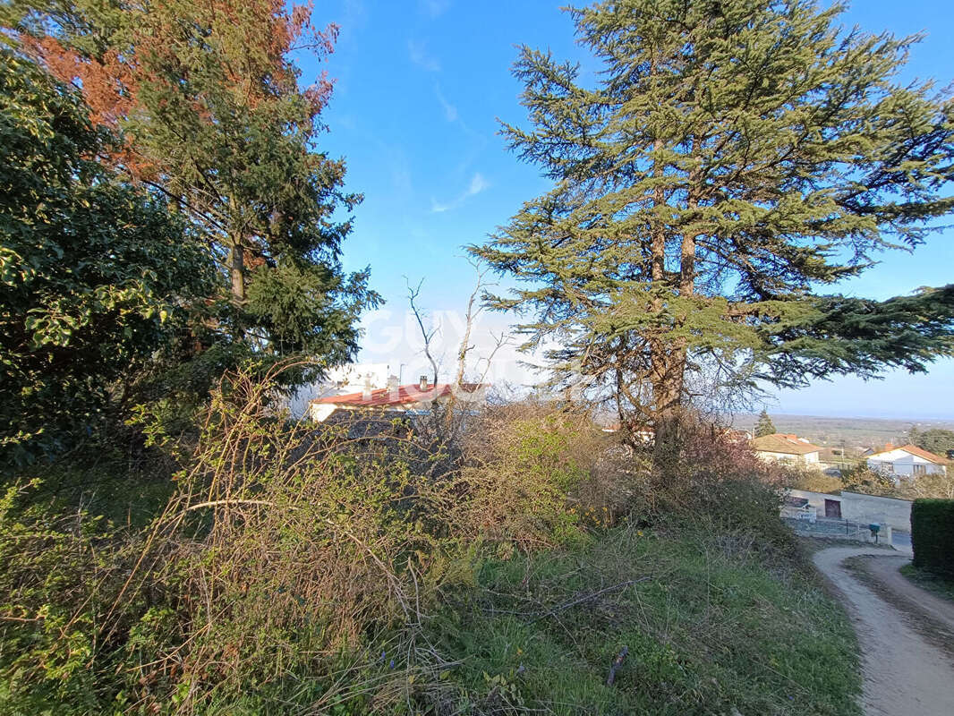 Terrain à BOEN