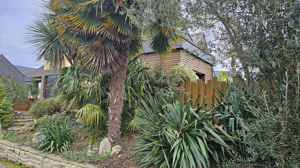 Maison à BRECE