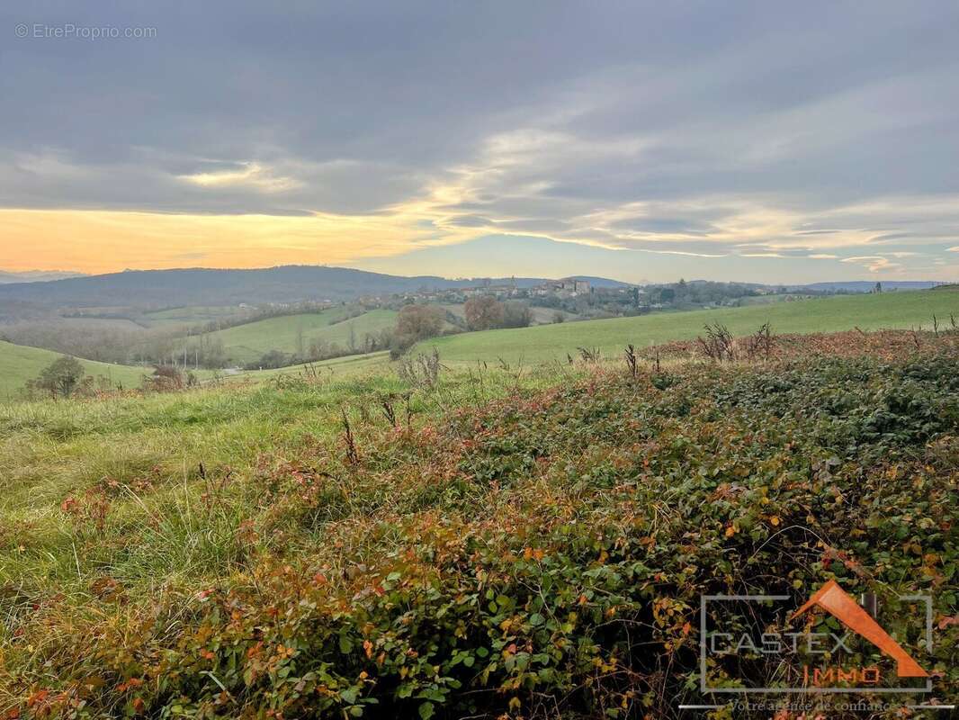 Terrain à MARTRES-TOLOSANE