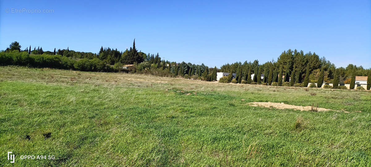 Terrain à FERRALS-LES-CORBIERES