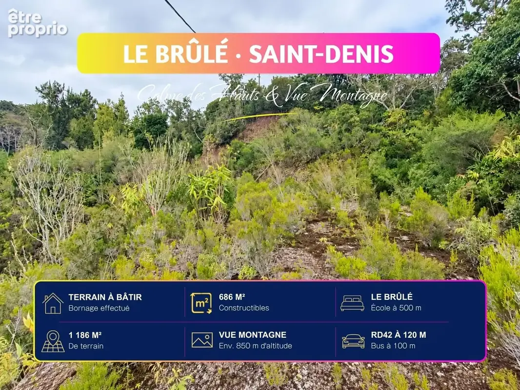 Terrain 1 186 m² à vendre à Saint-Denis (97400) - photo 2
