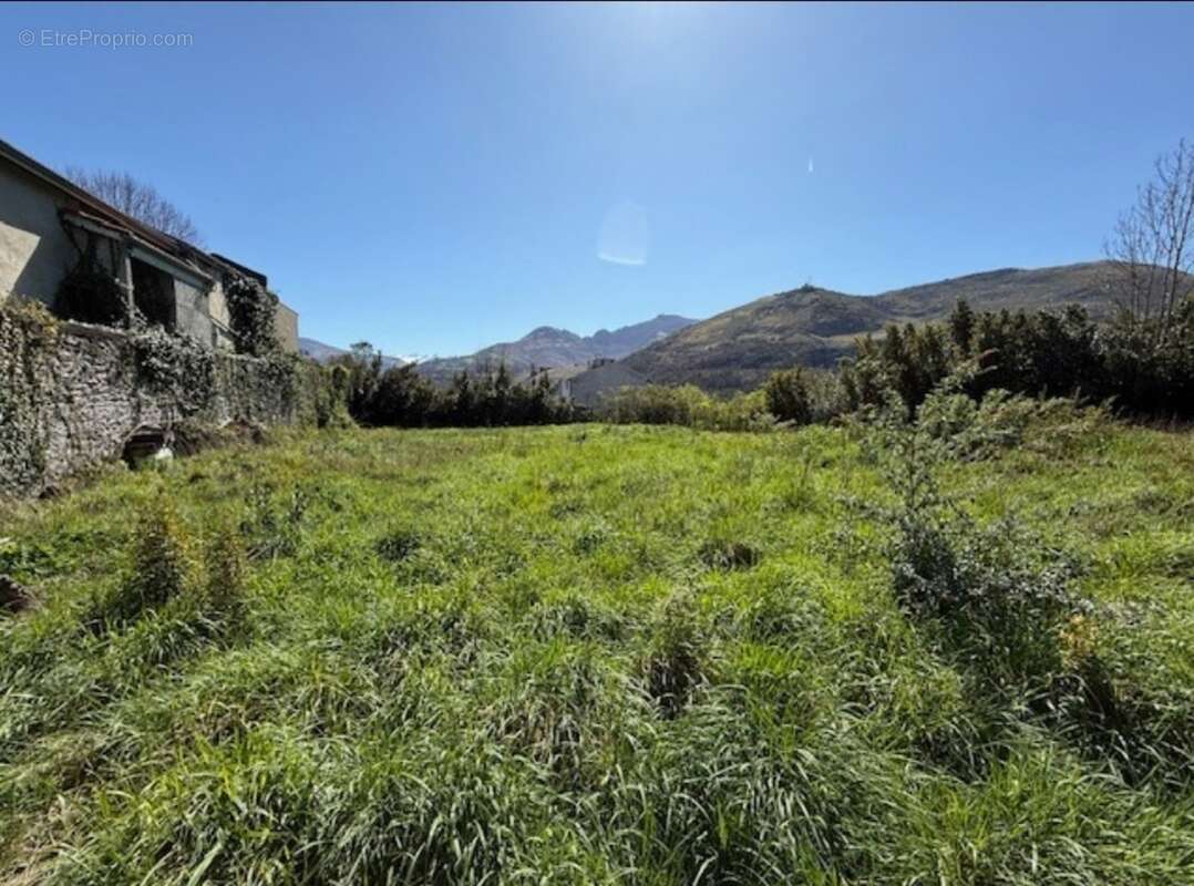 Grand terrain en position dominante - photo 3