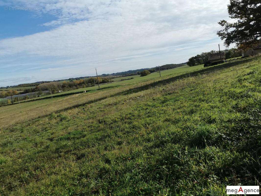 Terrain de 4817 m² constructible vue panoramique - photo 6