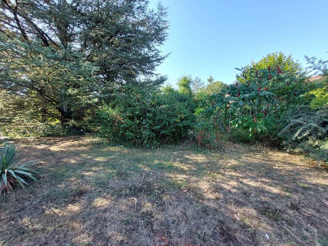 Terrain à SAINT-BONNET-DE-MURE