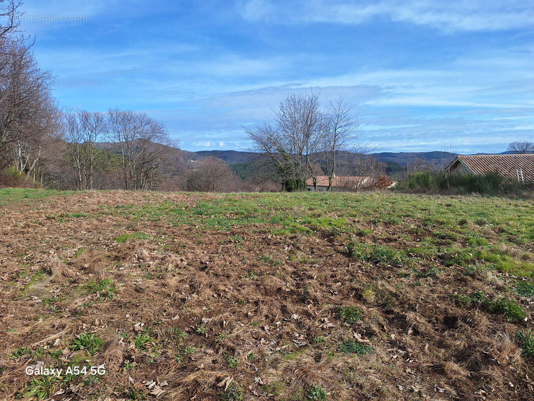 Terrain à SAINT-APOLLINAIRE-DE-RIAS