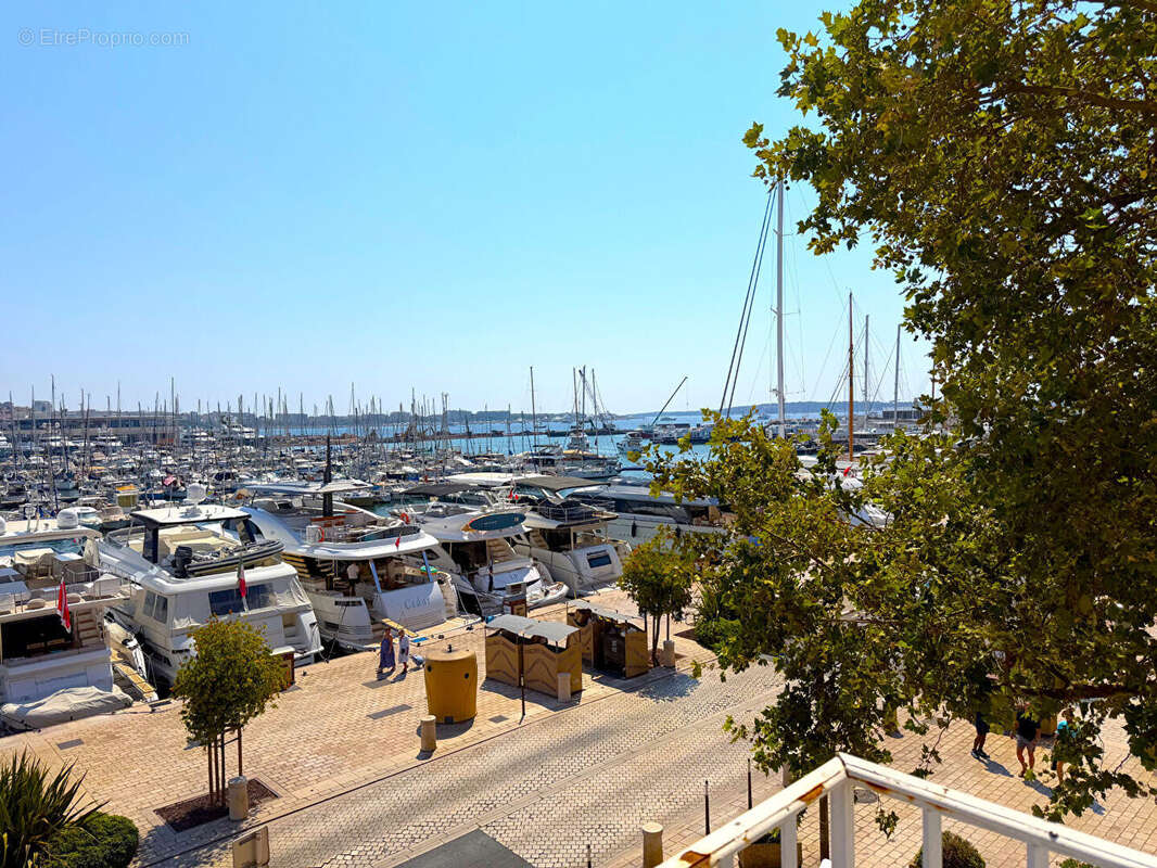 Appartement Emblématique à Cannes - photo 8