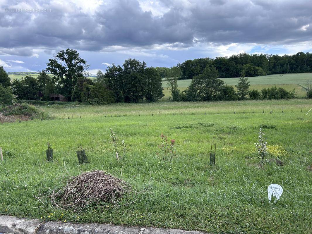 Terrain à GUEUX