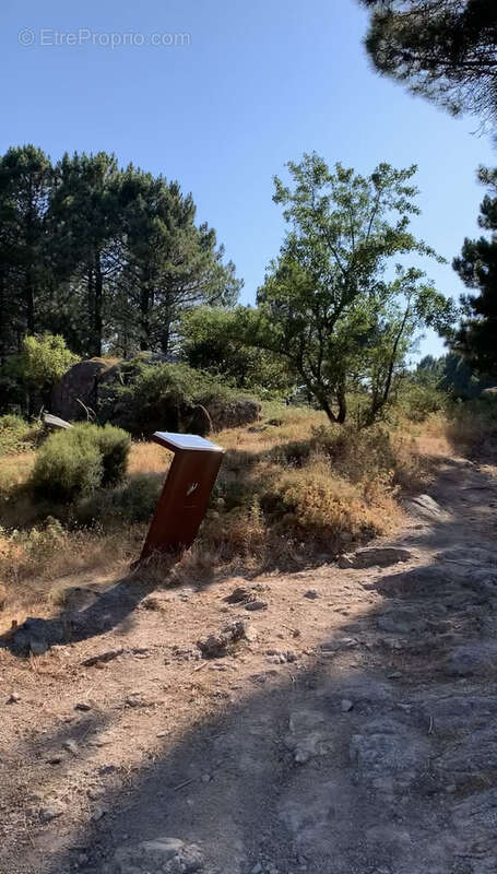 Terrain à bâtir à Cartalavone, commune de Porto-Vecchio - photo 10