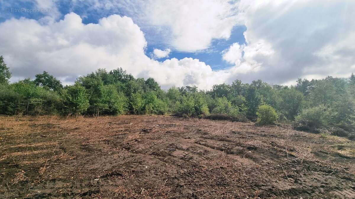 Maison à SAINT-AMAND-DE-VERGT