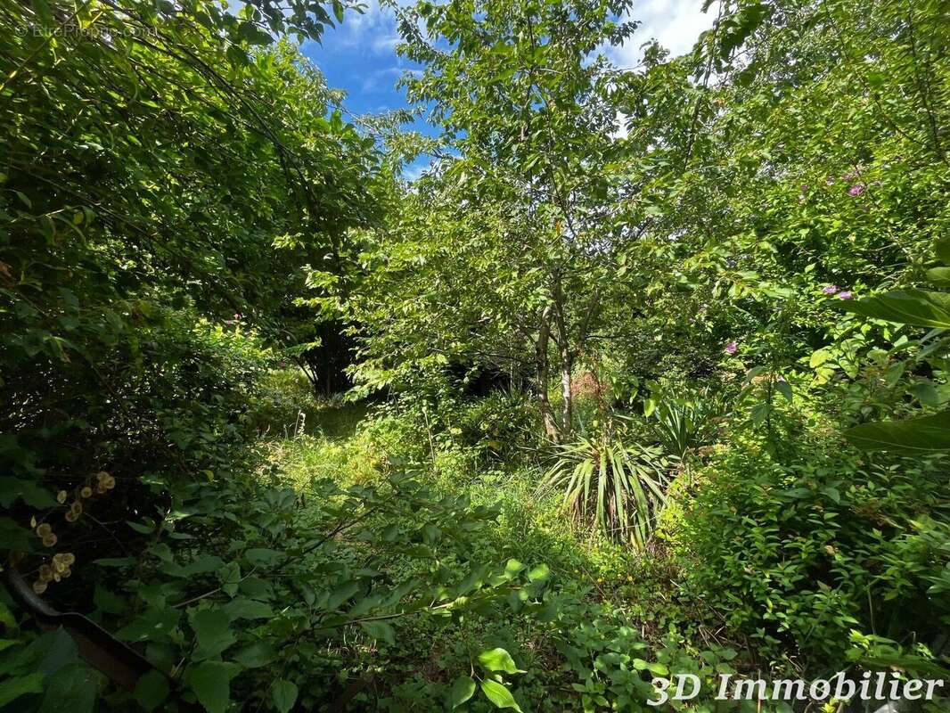 Photo 7 - Maison à BALLAISON