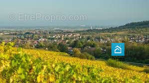 Terrain à ECKWERSHEIM