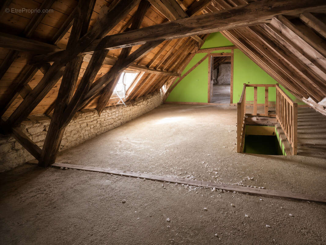 Château XVIIIᵉ   Projet de division en plusieurs logements   Parc 11 400 m2 - photo 11