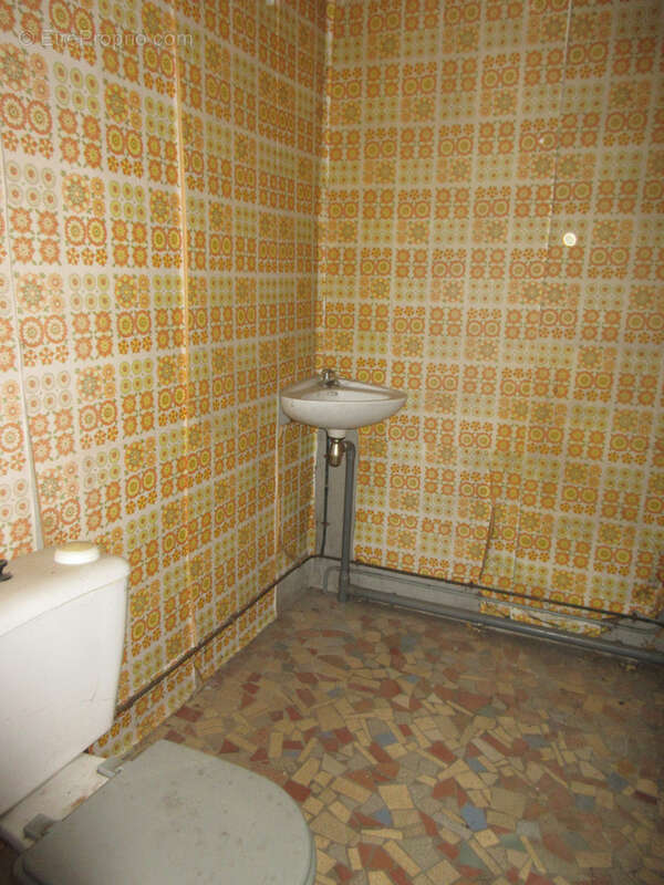 Maison à LE PONT-CHRETIEN-CHABENET