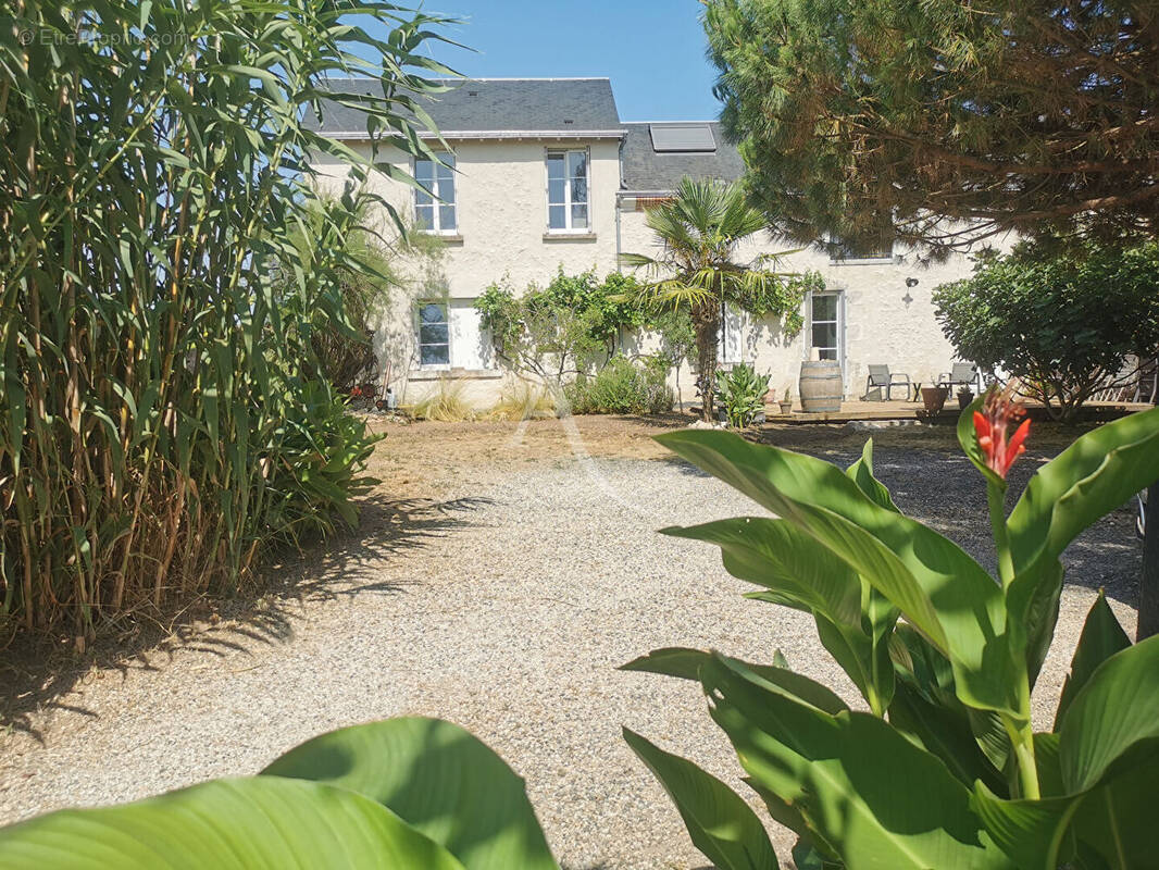 Maison à VINEUIL