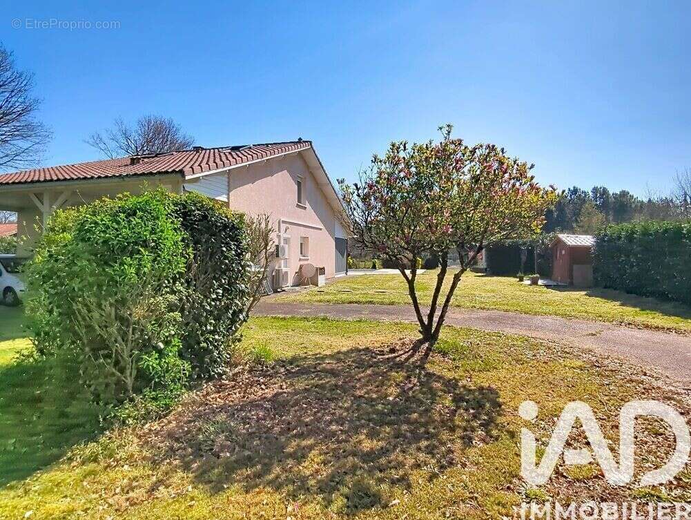 Photo 2 - Maison à PARENTIS-EN-BORN