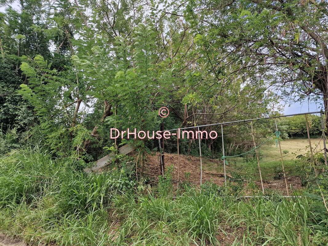 Terrain à LE VAUCLIN