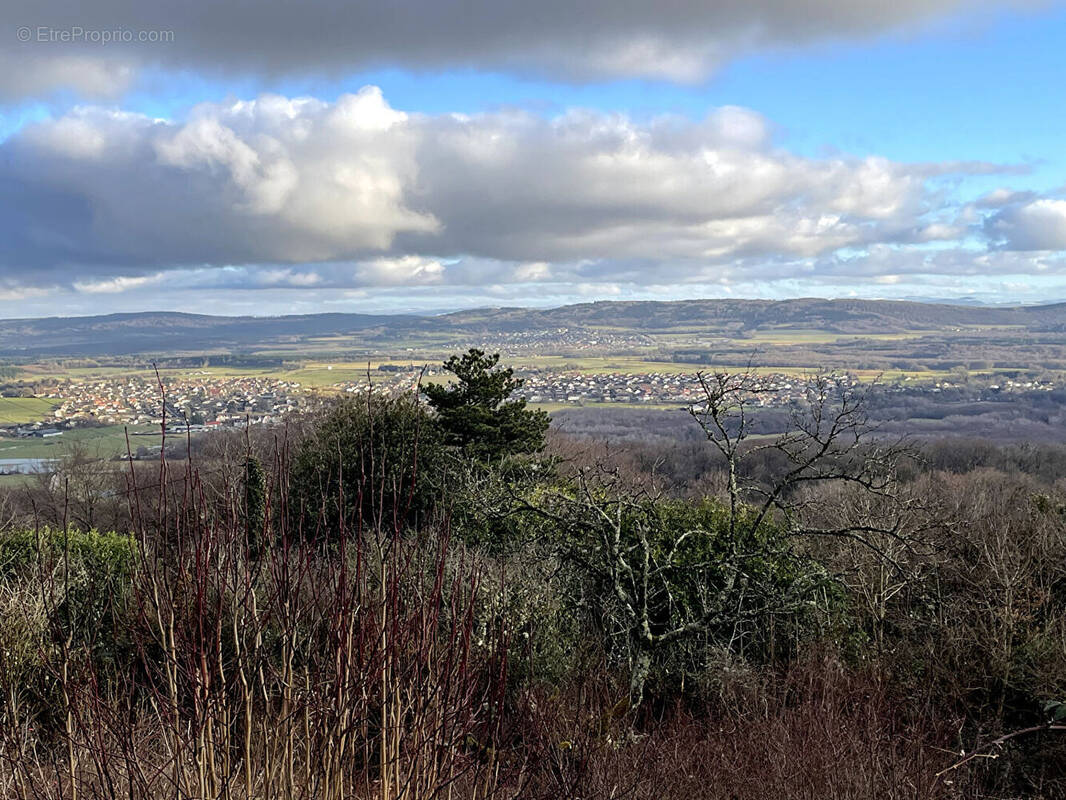 Terrain à MONTFAUCON