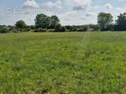 Terrain à SOULIGNY