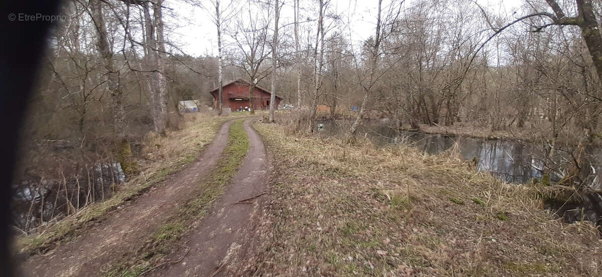 Propriété 50 ha avec chalet, étang, rivière, anciens bâtiments inductriels, prés, bois, terres - photo 11