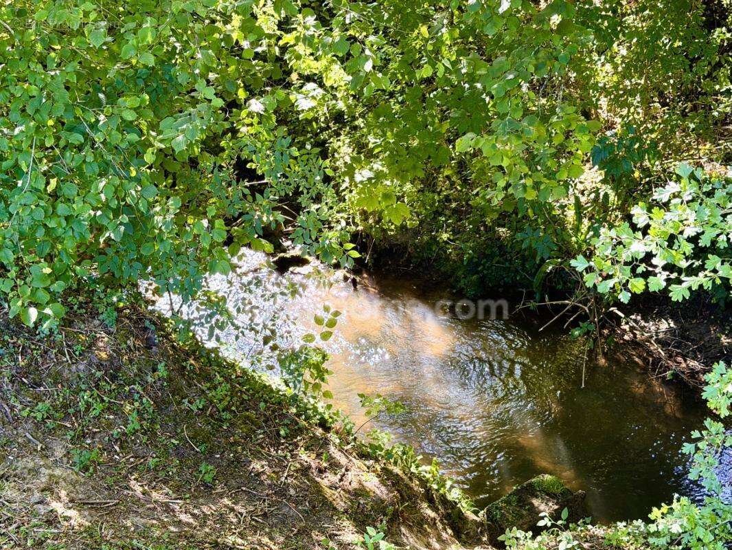 Propriété de caractère avec 2,5 hectares de parc, forêt et prairie – La Houblonnière – À 10 minutes de Lisieux - photo 27