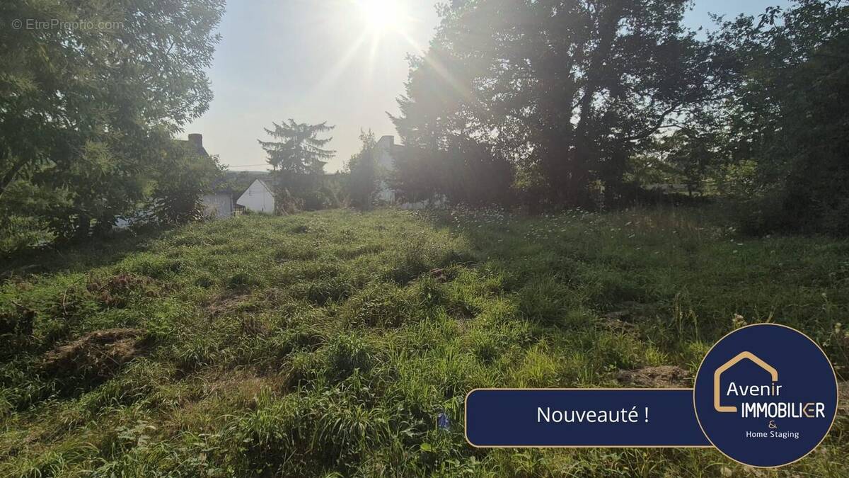 Terrain à SAVENAY