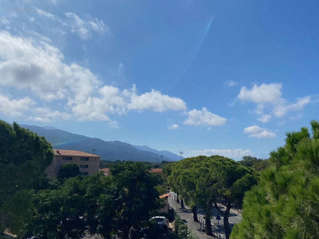 Photo 1 - Appartement à ARGELES-SUR-MER