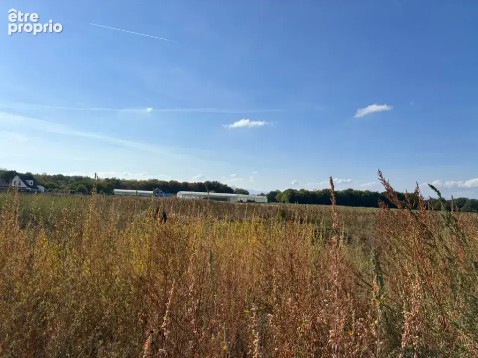 Photo Terrain à Bindernheim au prix de 110 160€