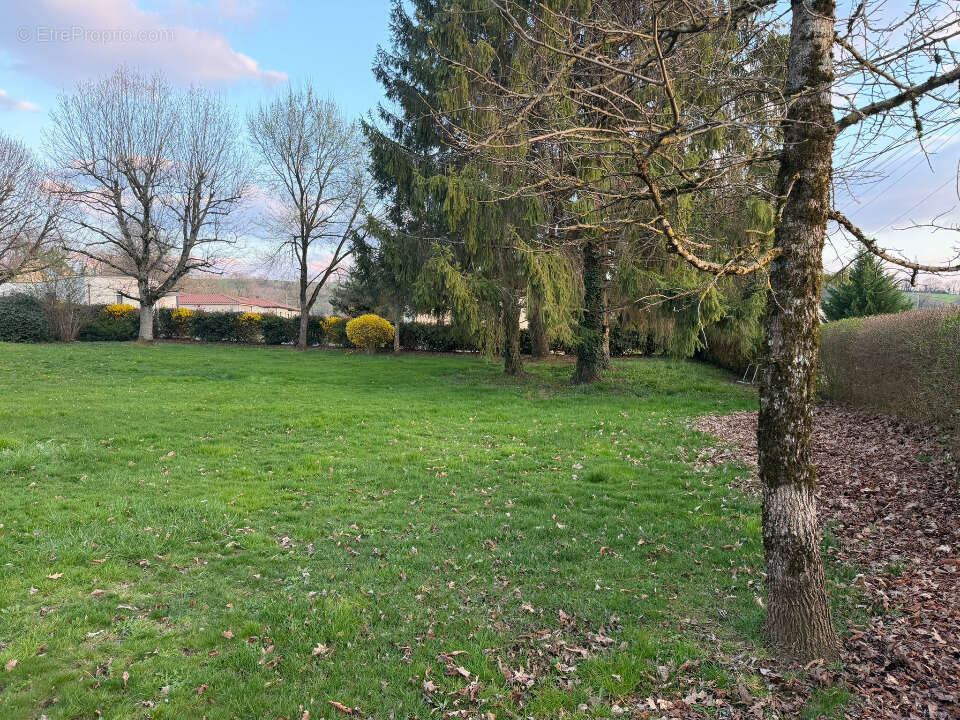 Terrain à NAUCELLES