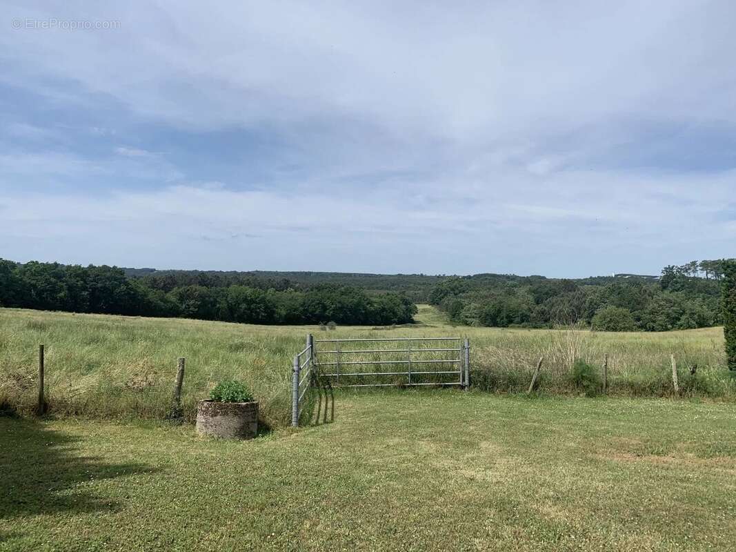Propriété equestre avec plus de 11 hectares - photo 5