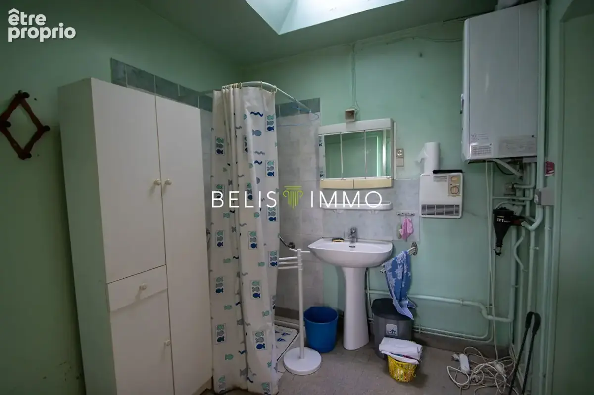 Maison 8 pièces 272 m² à vendre à Saint-Martin-Le-Beau (37270) - photo 5