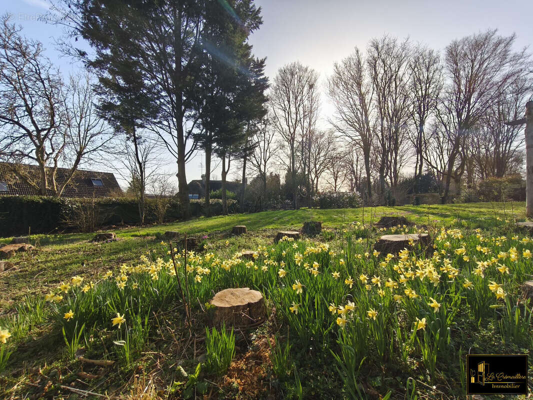 Terrain à VILLECONIN