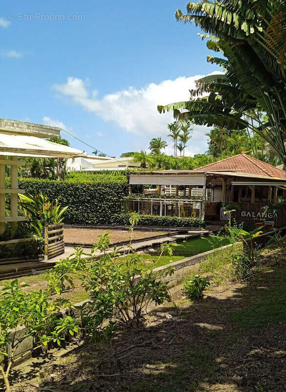 Commerce à FORT-DE-FRANCE