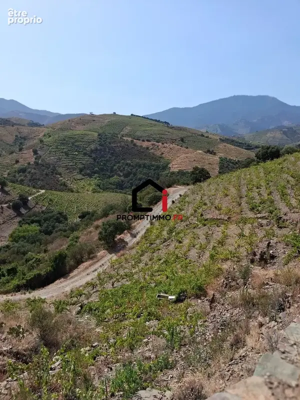 Terrain 7859 m² à Banyuls-Sur-Mer  - photo 6