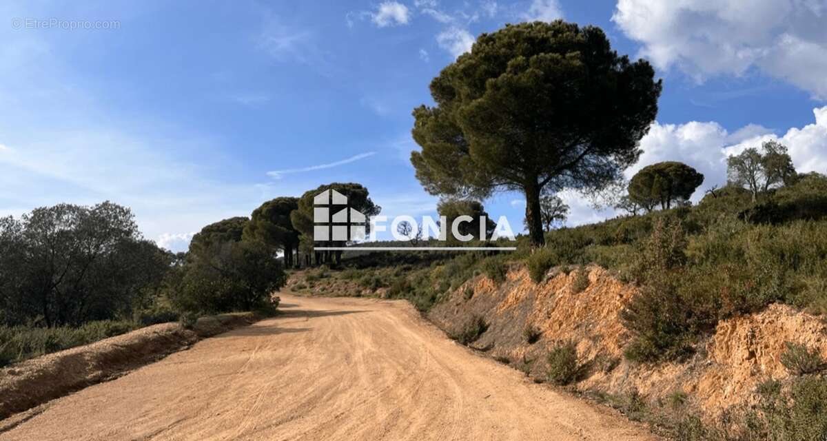 Terrain à LA LONDE-LES-MAURES