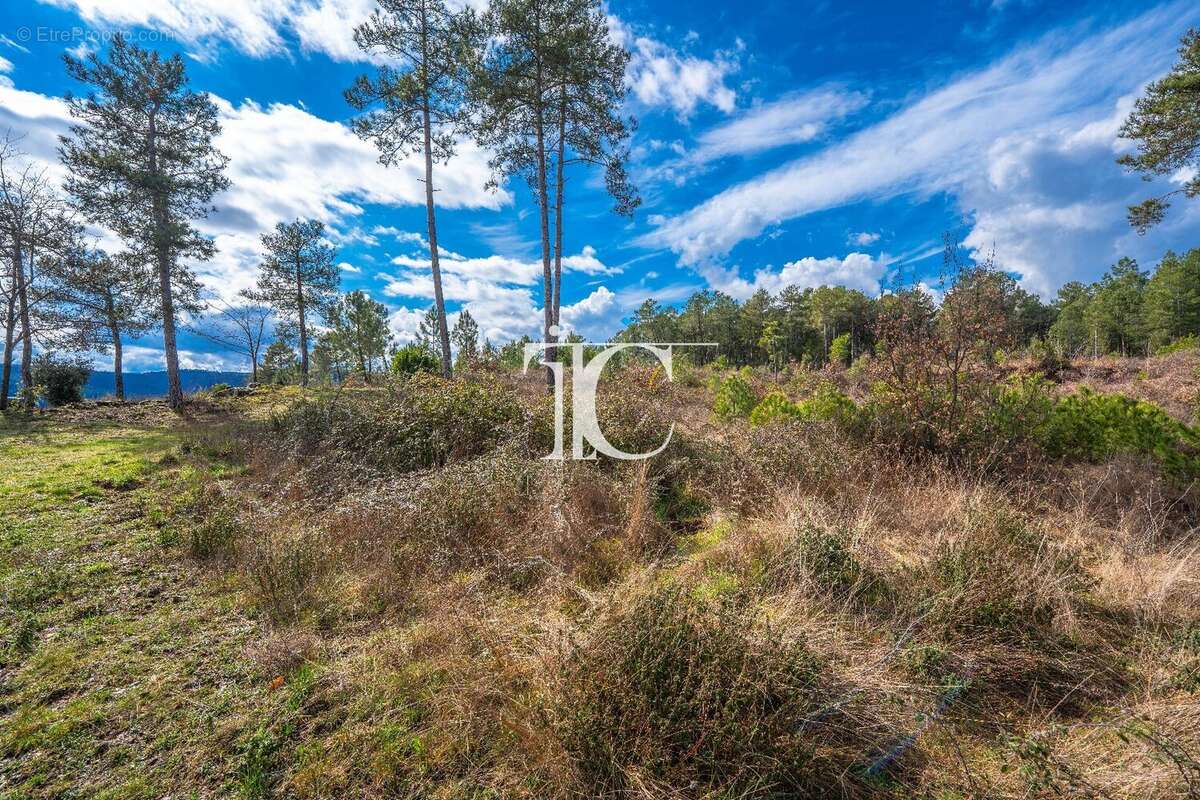 Terrain 9650m² situe plein sud - photo 5