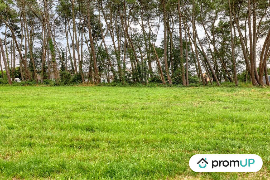 Terrain à SAINT-MARS-LA-BRIERE