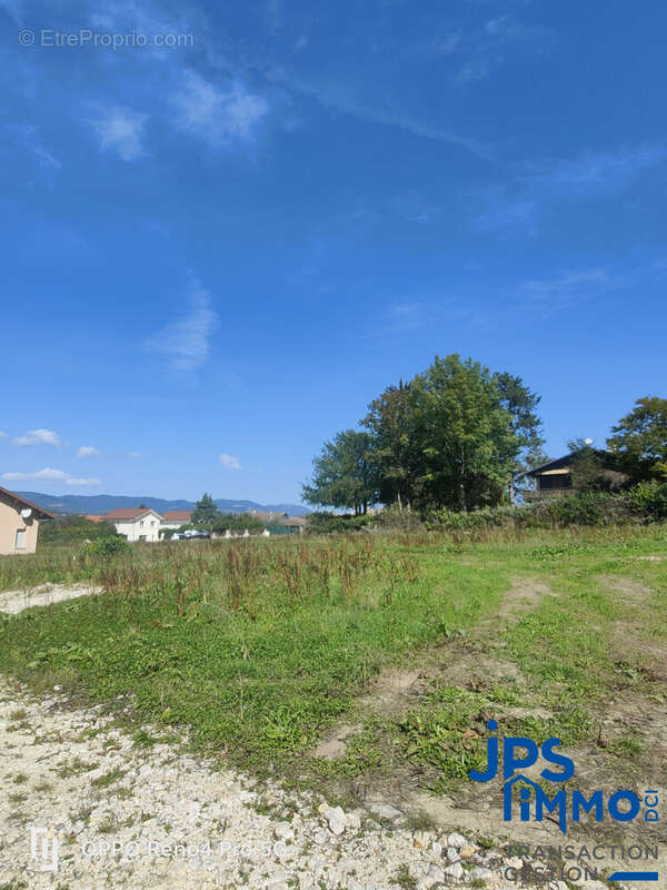Terrain 465 m² à La Riviere  - photo 7